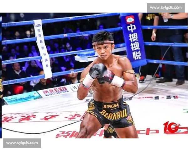 王伟豪对决播求巅峰泰拳之战引爆世界格斗擂台传奇宿命碰撞时刻夜